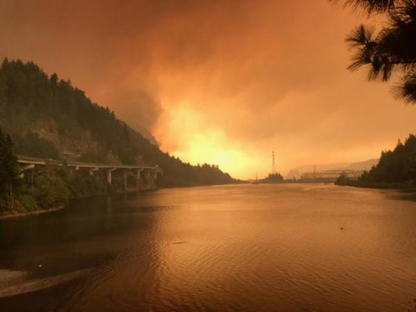 Scene from the 2017 Eagle Creek Fire in Columbia River Gorge