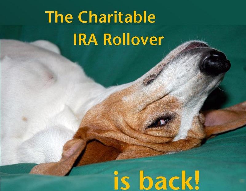 ira_rollover_dog_2015