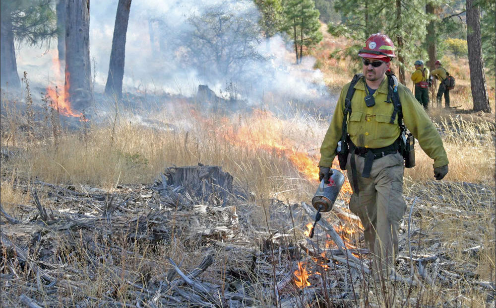 File photo of a firefighter using a driptorch to apply fire during a prescribed burn. CREDIT: SWANSON SCOTT