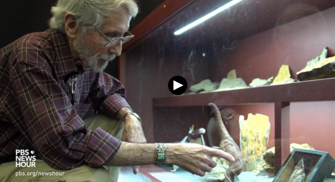 Watch the PBS Newshour story about a man who made a large fossil discovery