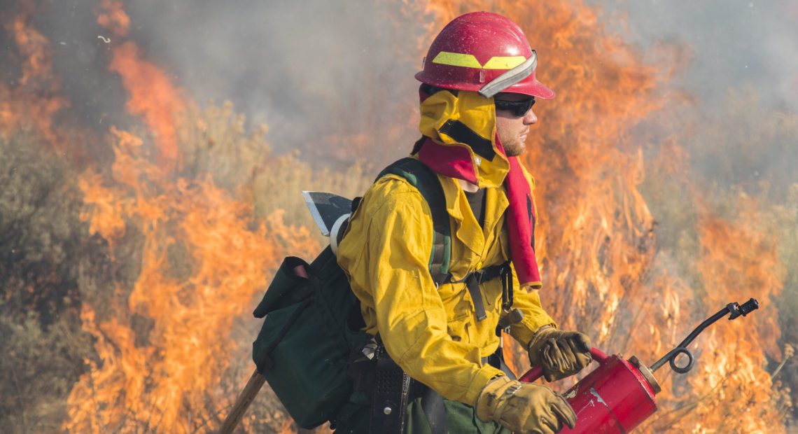 CREDIT: STUART PALLEY/U.S. FOREST SERVICE