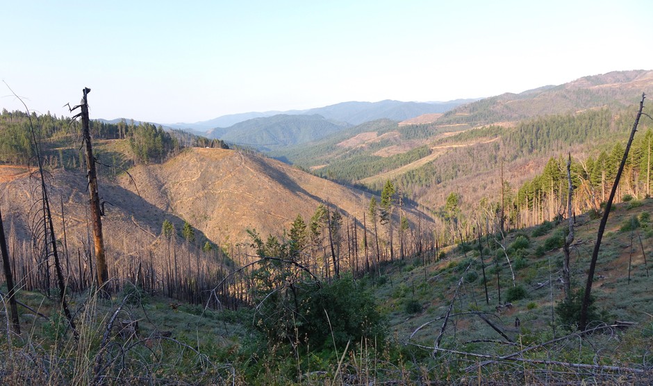 O&C Lands “checkerboard” in southwest Oregon four years after the Douglas Complex Fire. CREDIT: JES BURNS