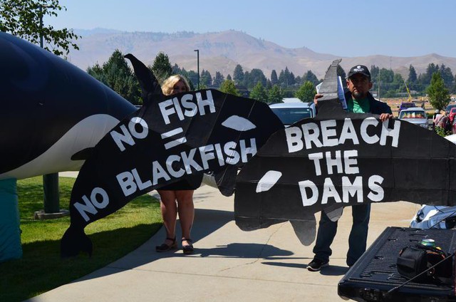 Protesters call for the removal of dams on the Snake River to help salmon spawn — and consequently feed Puget Sound orcas. The protest came outside a meeting of the governor’s orca task force in Wenatchee on Tuesday. CREDIT: ELLIS O'NEILL/KUOW/EARTHFIX