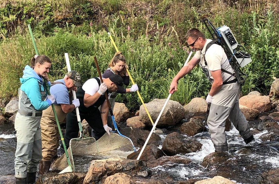 Gary Vonderohe (right) of the Oregon Department of Fish & Wildlife, administers a low-grade shock to a lamprey, as volunteers stand by with nets to capture it. CREDIT: BRIAN BULL