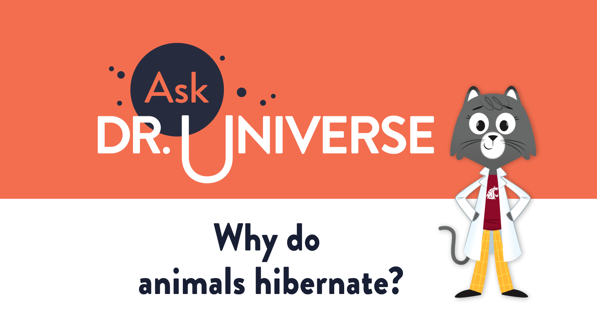 Why do animals hibernate? - Full Screen