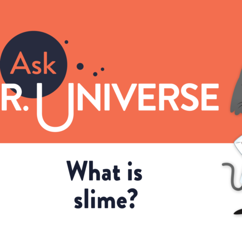 What is slime? - Full Screen