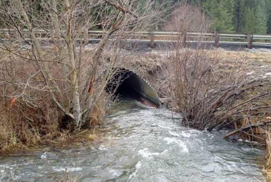 This is a culvert, or narrow passage for water to pass, in this case, under a highway. This culvert on the south side of the summit is a barrier to salmon and trout.