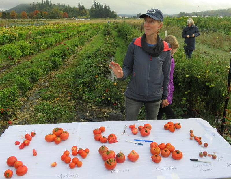 Organic Seed Alliance Program Director Micaela Colley at the nonprofit's research farm in Chimacum, Washington. CREDIT: TOM BANSE / NW NEWS NETWORK