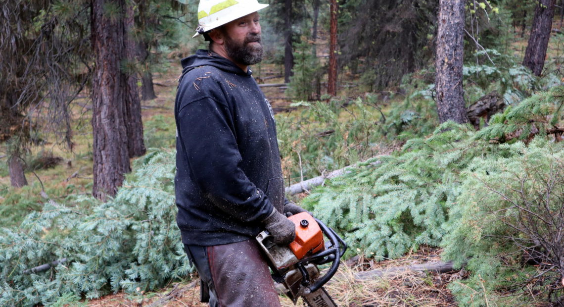 Grayback Forestry crew boss Bob Larkin at work on a thinning project in the Malheur National Forest. CREDIT: TOM BANSE