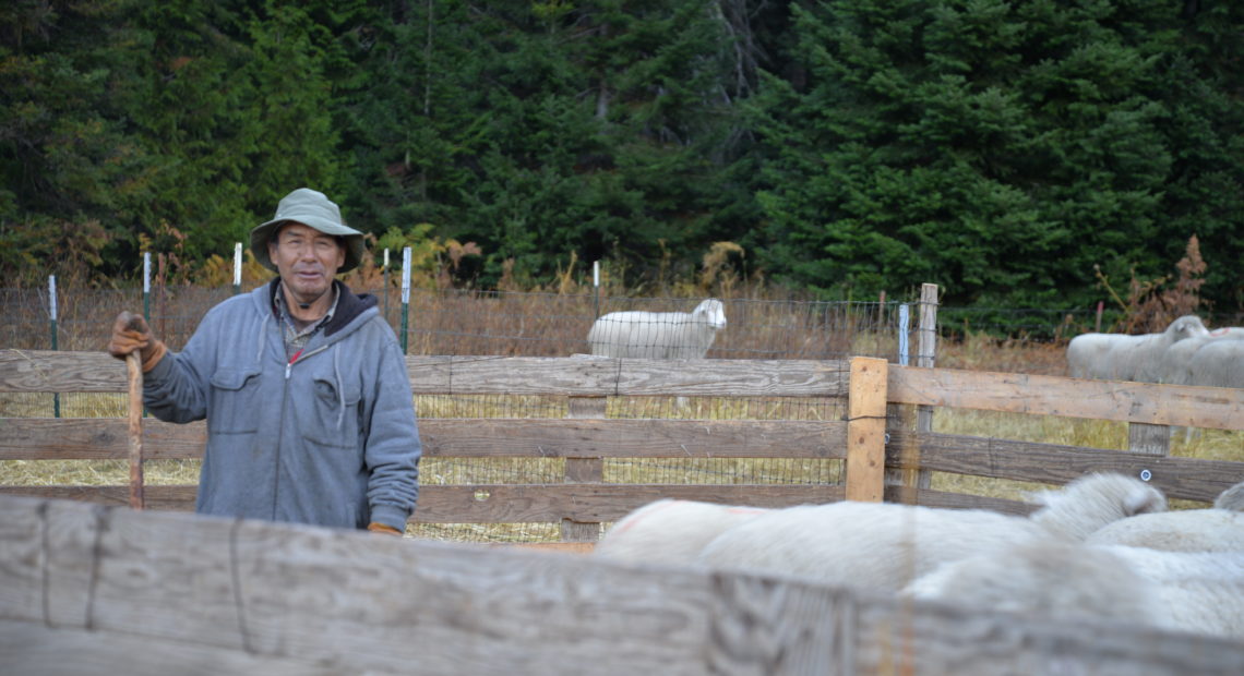 Geronimo DeLaCruz Lozano is one of the eight, H-2A workers who came from Peru to work with the Martinez family. He’ll spend most of his time alone with his dogs, walking across grasslands and mountains grazing thousands of sheep at a time. CREDIT: ESMY JIMENEZ