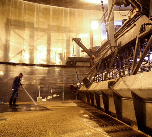 The barley used to make beer as we know it may take a hit under climate change, but growers say they are already preparing by planting it further north in colder locations. CREDIT: DEAN HUTTON/BLOOMBERG