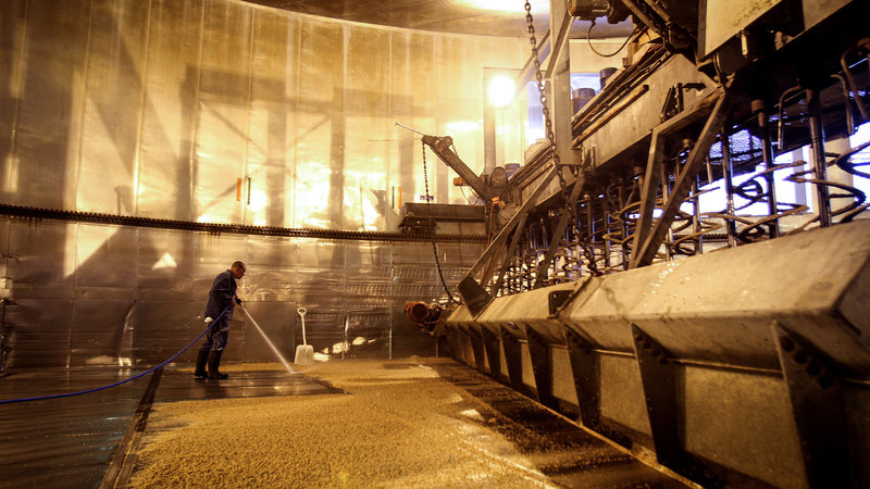 The barley used to make beer as we know it may take a hit under climate change, but growers say they are already preparing by planting it further north in colder locations. CREDIT: DEAN HUTTON/BLOOMBERG