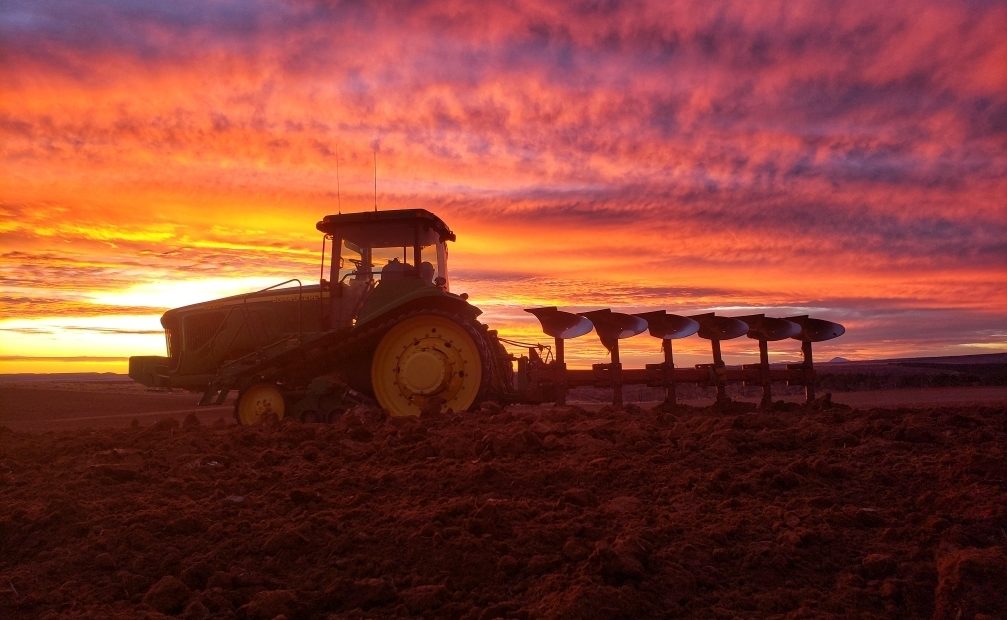 A tractor plows soil where a failed wheat crop once stood on Matt Isgar's ranch and farm in Hesperus, Colo. Isgar is hoping the soil will get enough moisture in coming months so he can plant pinto beans next season. CREDIT: Kami Engstrom/Courtesy of Matt Isgar