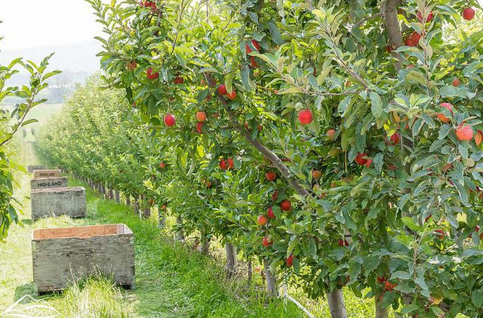 One of the most heavily relied on herbicides in the nation could be linked to an increase in early deaths Parkinson’s Disease for people who live nearby, according to new research on farmlands in Washington. CREDIT: WA Department of Agriculture, Flickr Creative Commons