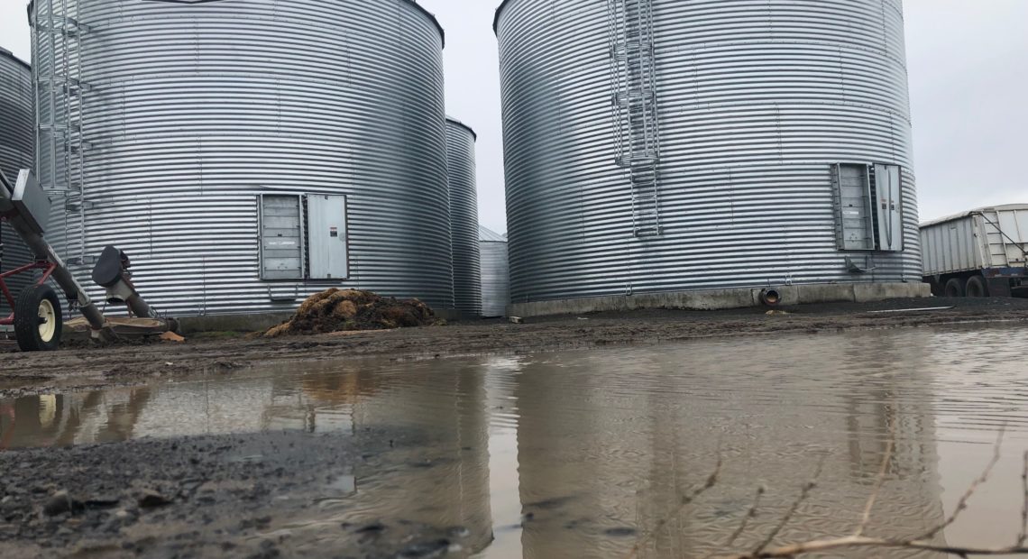 Grain silos outside of Connell, Wash. reflect in the mud puddles left by heavy spring rains. CREDIT: ANNA KING/N3