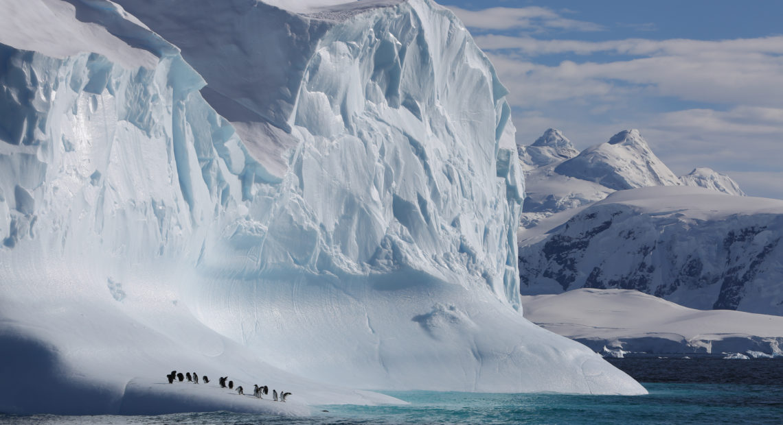 Gentoo penguins sit on an Antarctic iceberg in a scene from the new Netflix nature documentary series Our Planet. Sophie Lanfear/Silverback/Netflix