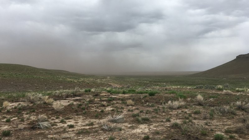 Ash blows off of rangeland that burned in the Martin Fire of 2018 — the largest in Nevada state history. CREDIT: ASHLEY AHEARN/NPR