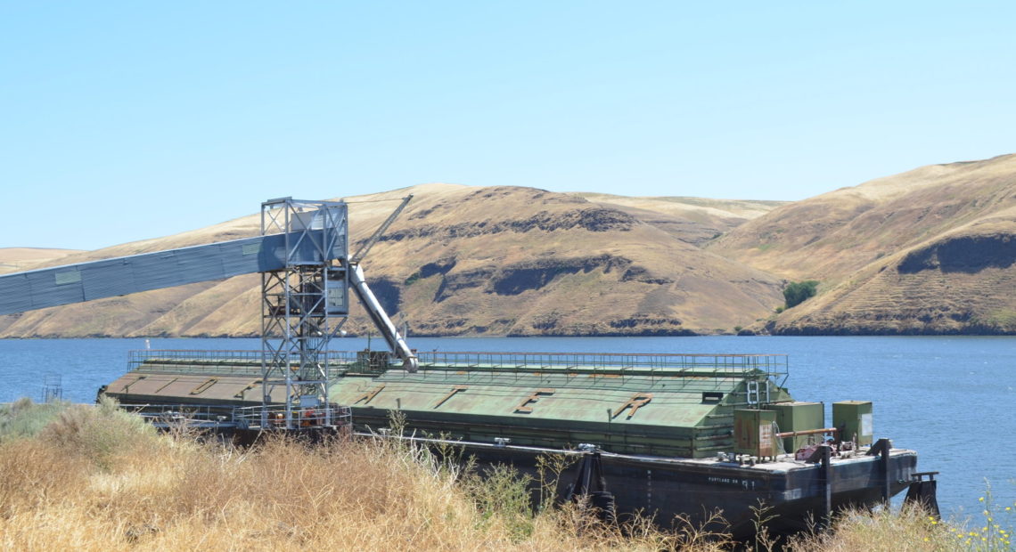 Eastern Washington's Snake River is dotted with wheat-loading facilities. CREDIT: EILIS O'NEILL/KUOW