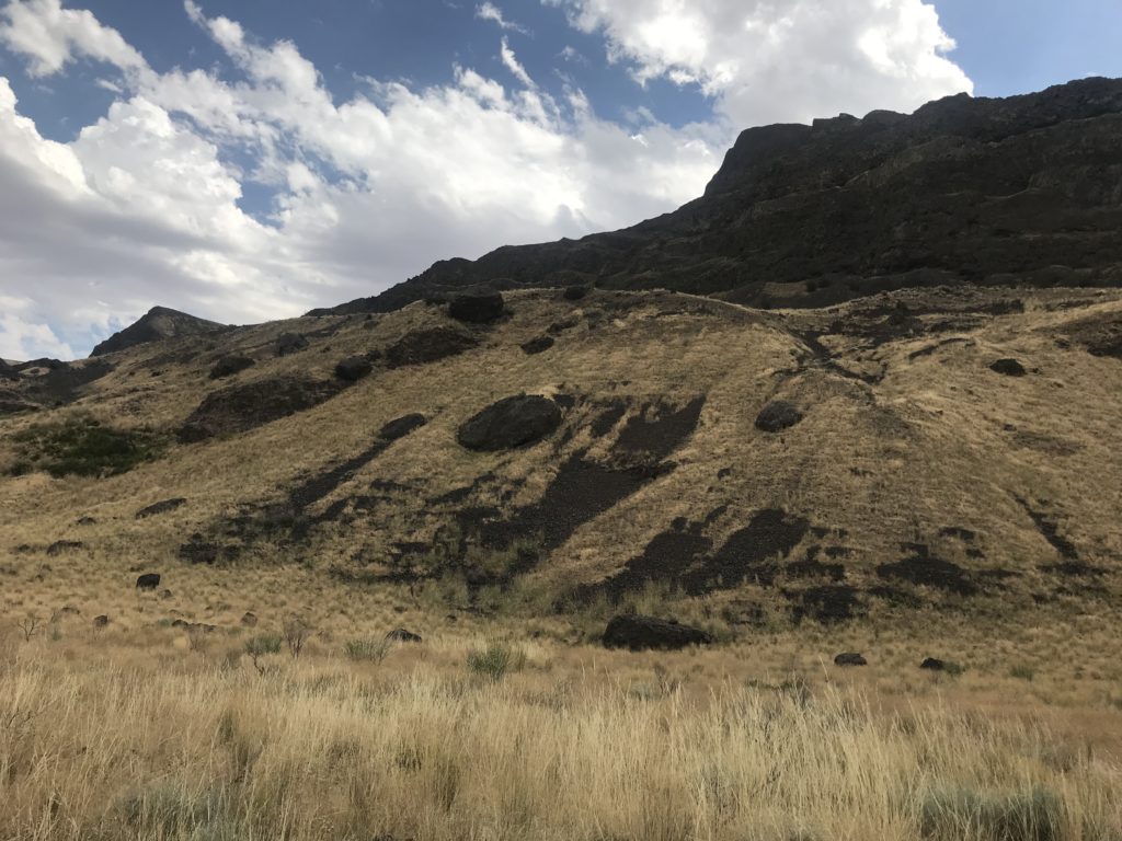 The 2017 Sutherland Canyon Fire jumped the steep cliffs behind Molly Linville's ranch in central Washington. CREDIT: Courtney Flatt/NWPB