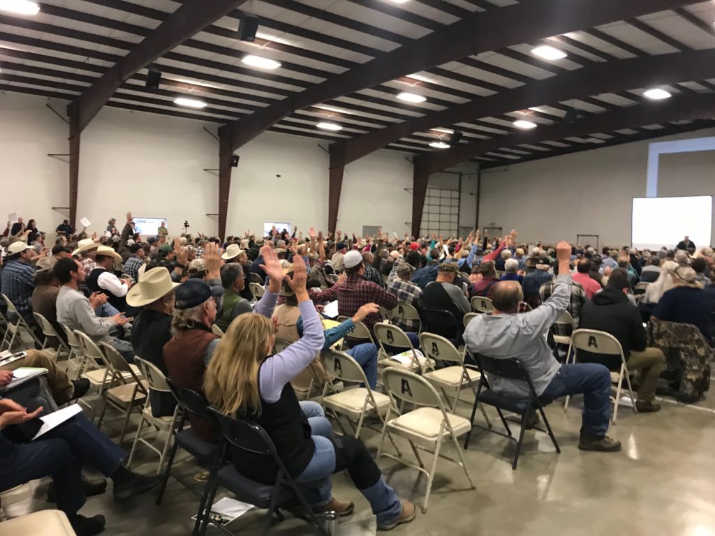 Around 450 people came to the Okanogan County Fairgrounds Monday, Oct. 7, 2019 for a public meeting about possible grizzly bear reintroduction in the North Cascades. Most voiced opposition to the idea, including U.S. Rep. Dan Newhouse, who represents much of central Washington. CREDIT: Courtney Flatt/NWPB