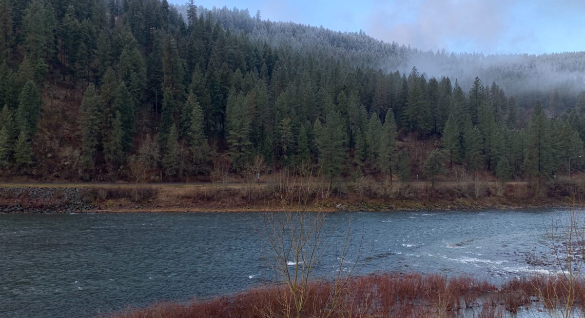 Morning on the Clearwater River near Orofino, Idaho. This past fall, Idaho officials closed the Clearwater to steelhead trout and salmon fishing due to extremely low runs. CREDIT: Kirk Siegler/NPR