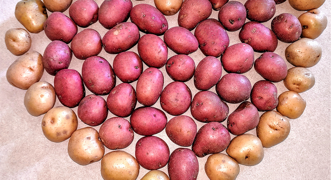 red and yellow potatoes in the shape of a heart.