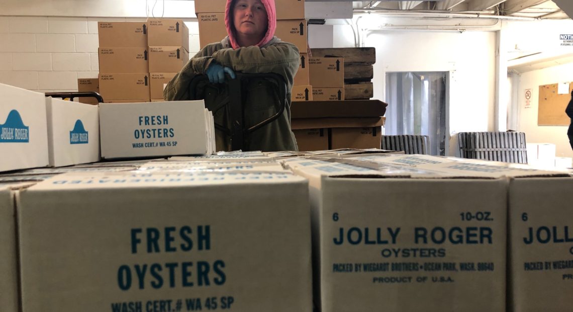 Amy Skillings of Oysterville, Washington, wheels the day's shucked oysters into a large cooler to await pickup. The oysters will be flown quickly across the country and to China.