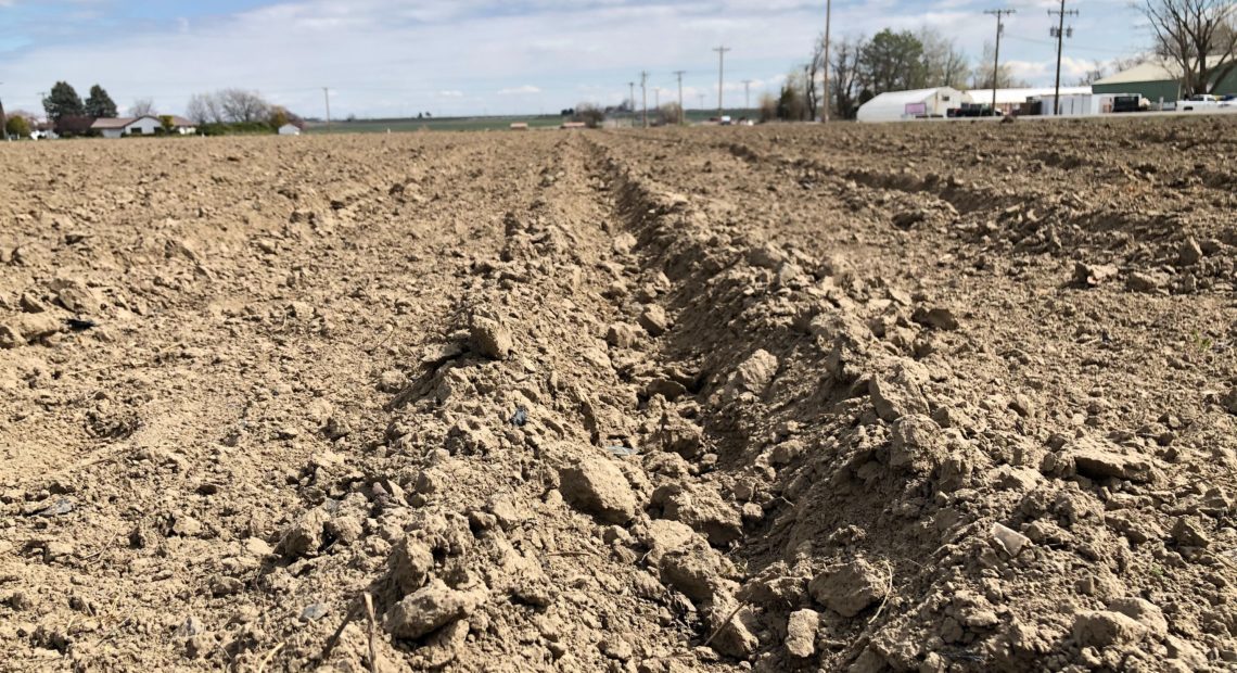 Freshly planted furrows span out across the Columbia Basin as farmers get ready for the coming season as worries of COVID-19 spread in central and eastern Washington.