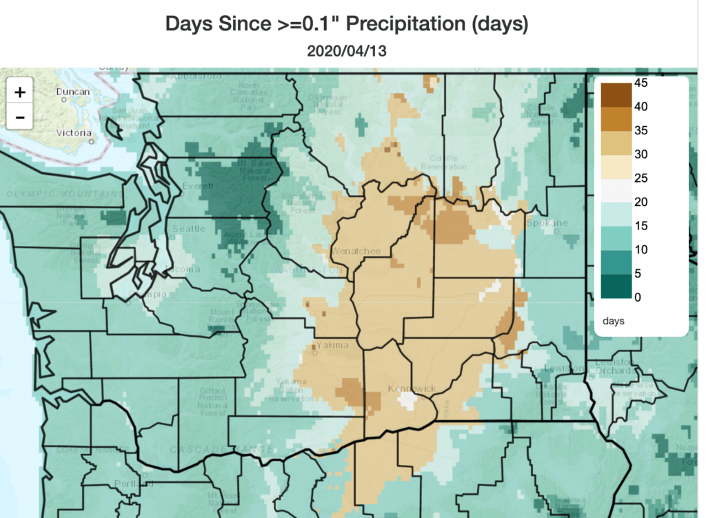 Areas of the Columbia Basin and central Washington are dry and increasingly fire prone heading into late spring and fire season. CREDIT: Washington DNR