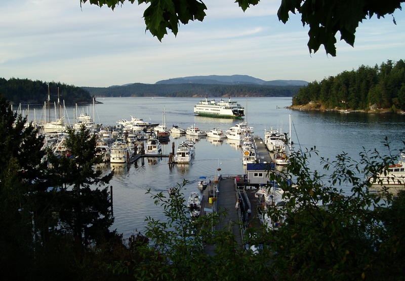 Friday Harbor in Washington's San Juan Islands is the seat of San Juan County. CREDIT: Tom Banse/N3