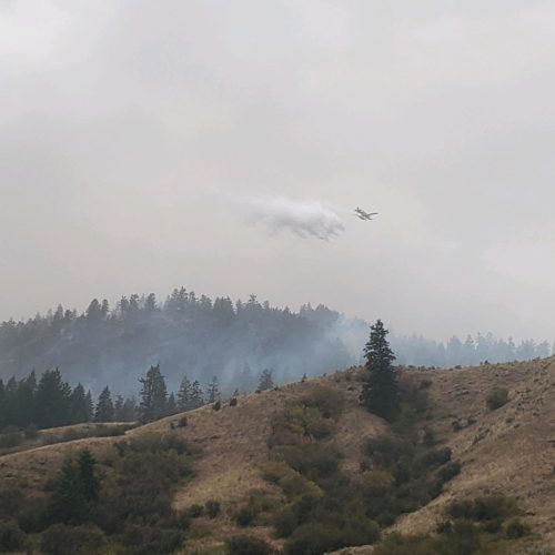 A plane drops water over the Palmer Fire in Okanogan County, Wash., Aug. 20, 2020. CREDIT: Eric Risdal/USFS/InciWeb