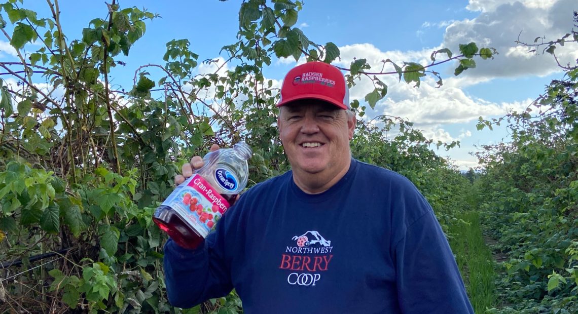 Rolf Haugen, a raspberry grower in Lynden, Washington, decided to get into the spirit of the viral TikTok video and take a picture with a jug of juice in his berry fields.