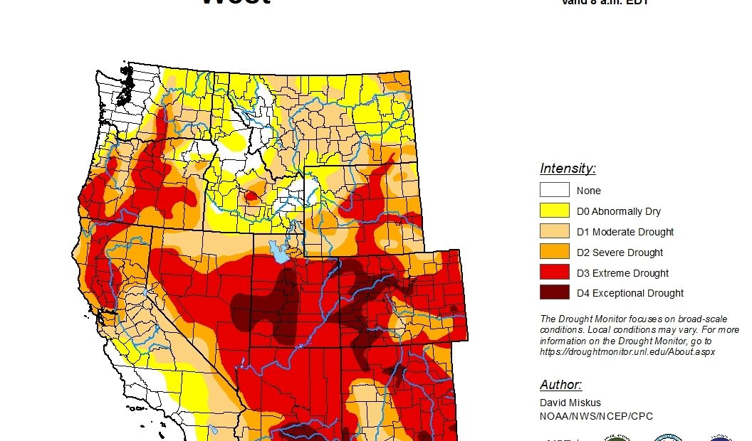 Drought conditions in the U.S. West, particularly parts of the Northwest, could be eased by an expected 2020-21 La La Niña winter. CREDIT: U.S. Drought Monitor