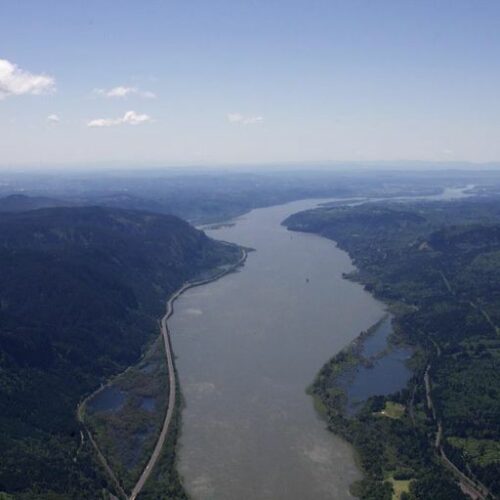 The Columbia River west of the Gorge as it heads toward Portland and out to the Pacific Ocean. (Credit: Amelia Templeton / OPB)