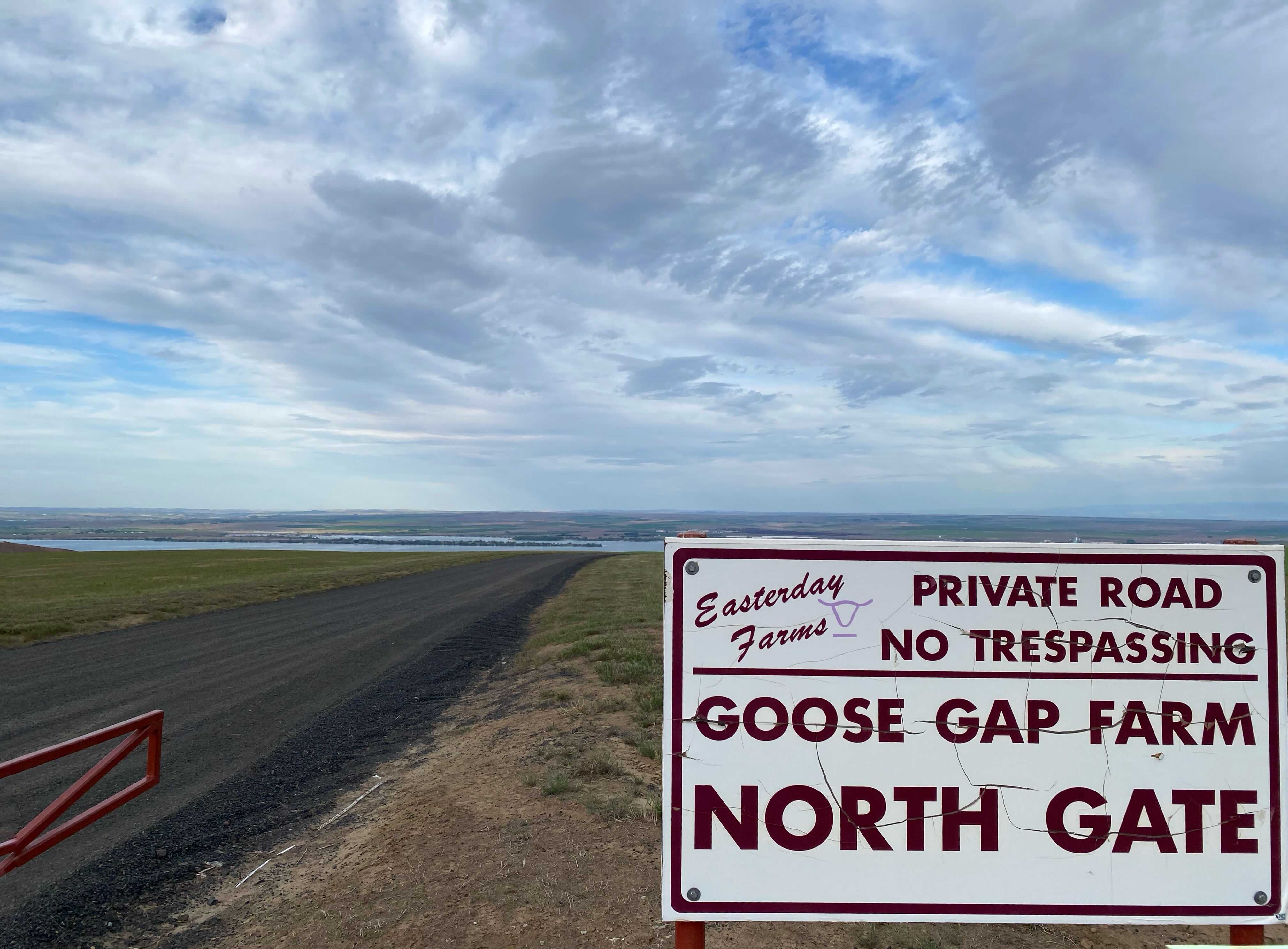 Goose Gap Farm is one of several large swaths of farmland that are up for sale in a major auction in the bankruptcy of Easterday Farms and Easterday Ranches. CREDIT: Anna King/N3