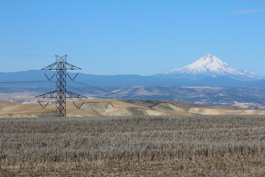 A view of the Bonneville Power Administration's Big Eddy-Knight transmission line. More renewable energy development and less room for energy conservation are two of the biggest changes in the draft of the new regional power plan.