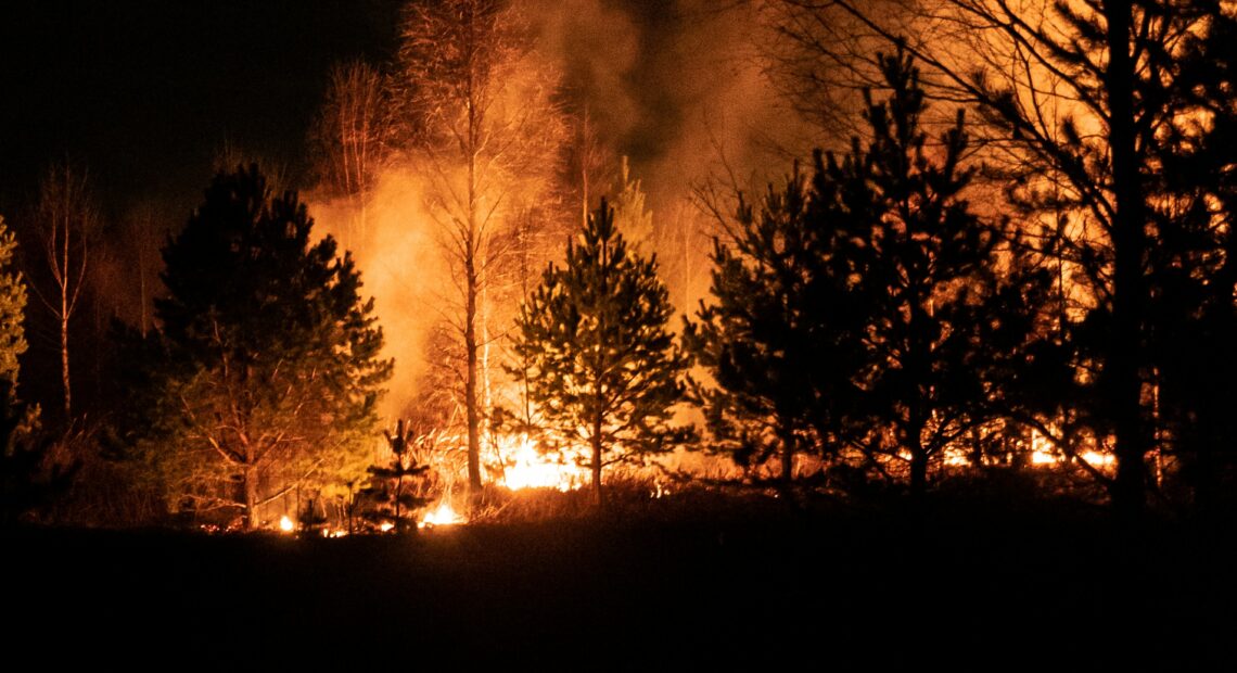 A silhouette of a forest fire