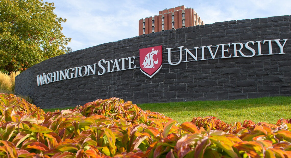 White, roman-style letters spell out "Washington State University" across a short, gray brick wall on the university's Pullman campus. Green and organge leaves are in the foreground, with a brief glimpse of bright green grass between the leaves and the short wall. In the background, a green, leafy tree is visible against a blue sky with light white clouds. In the center of the background, the top of a burnt-red brick and white of a dorm building with rectangular windows is just visible peeking above the wall.