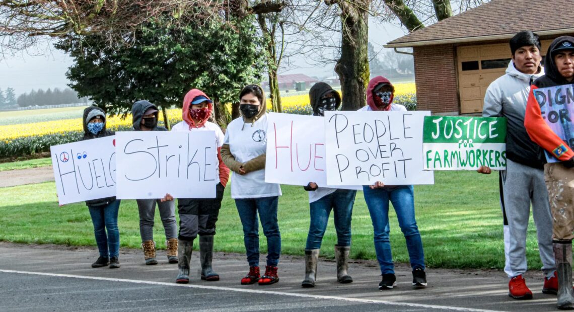 Trabajadores en Huelga en Mount Vernon,WA