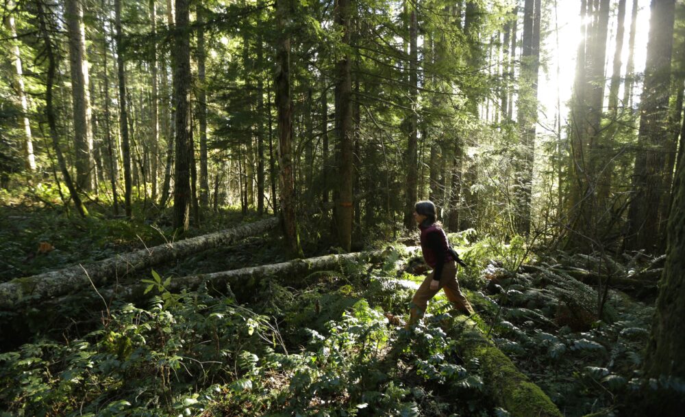 A woman walks through a thick green washington forest with light streaming in behind the trees.