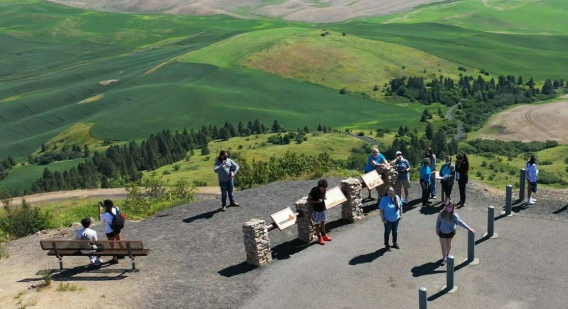 Students stand overlooking green hills and trees.