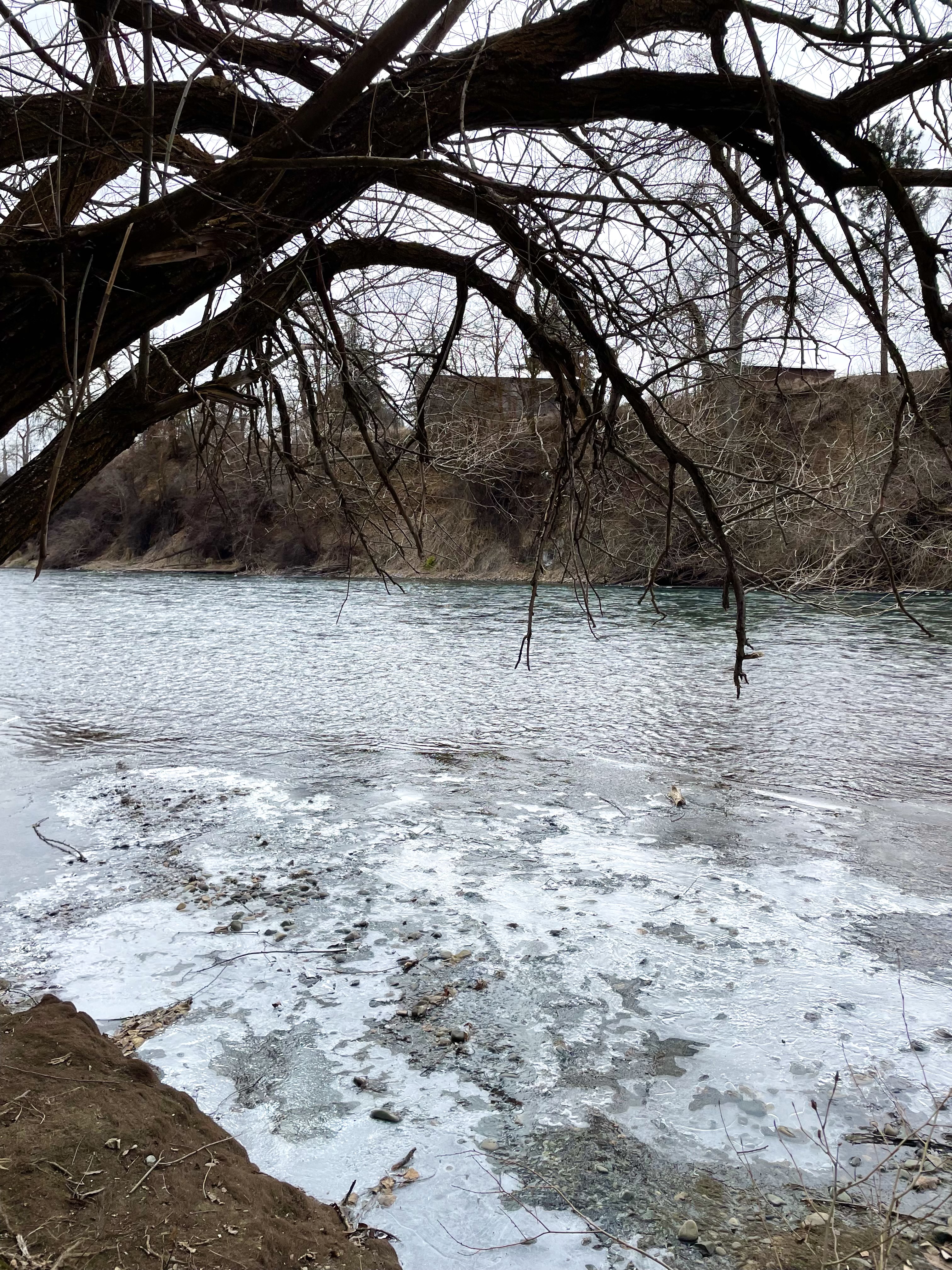 The riverfront that runs along the park. Photo by Marie Marchand. 