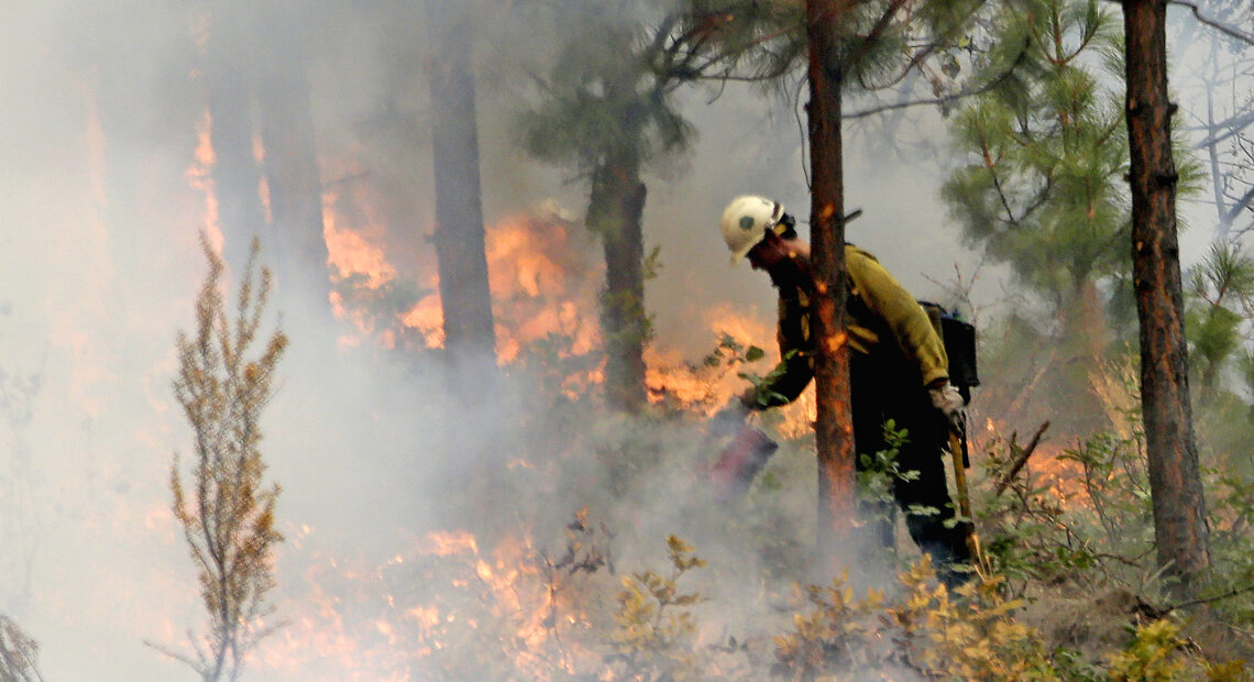 A firefighter with a yellow helmet near trees douses bright orange flames with a red water can.