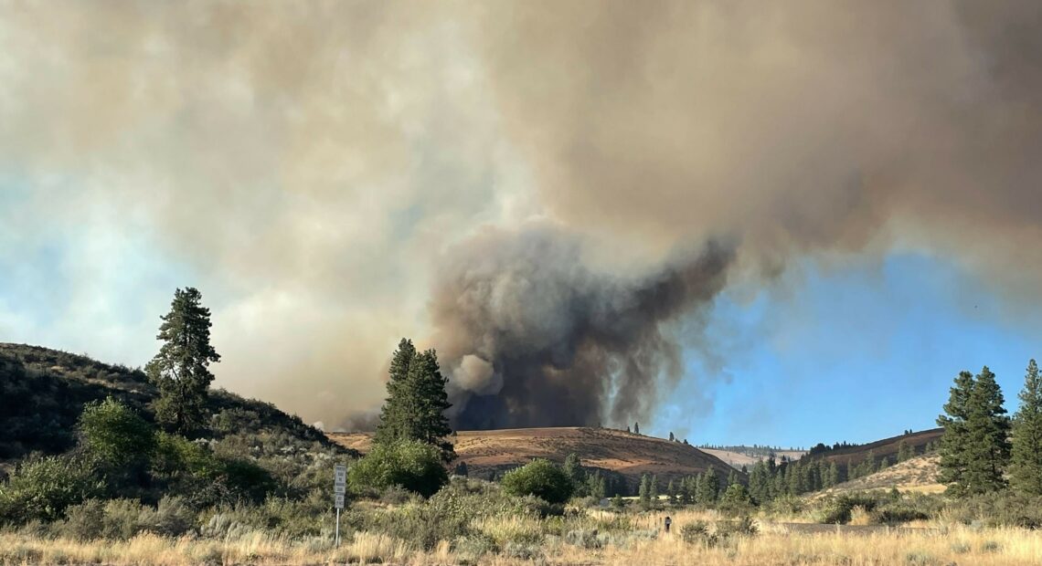 A plume of smoke rises above a yellow field flanked by three evergreen trees against a blue sky.