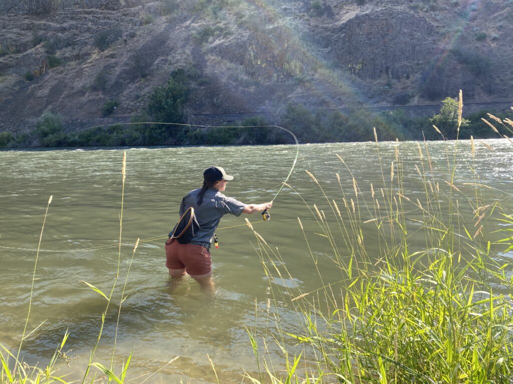 Ashtyn Harris of Ellensburg fishes the Yakima River Canyon using a type of caddis dry fly. Although sometimes annoying, the caddisflies are excellent food for fish and fowl