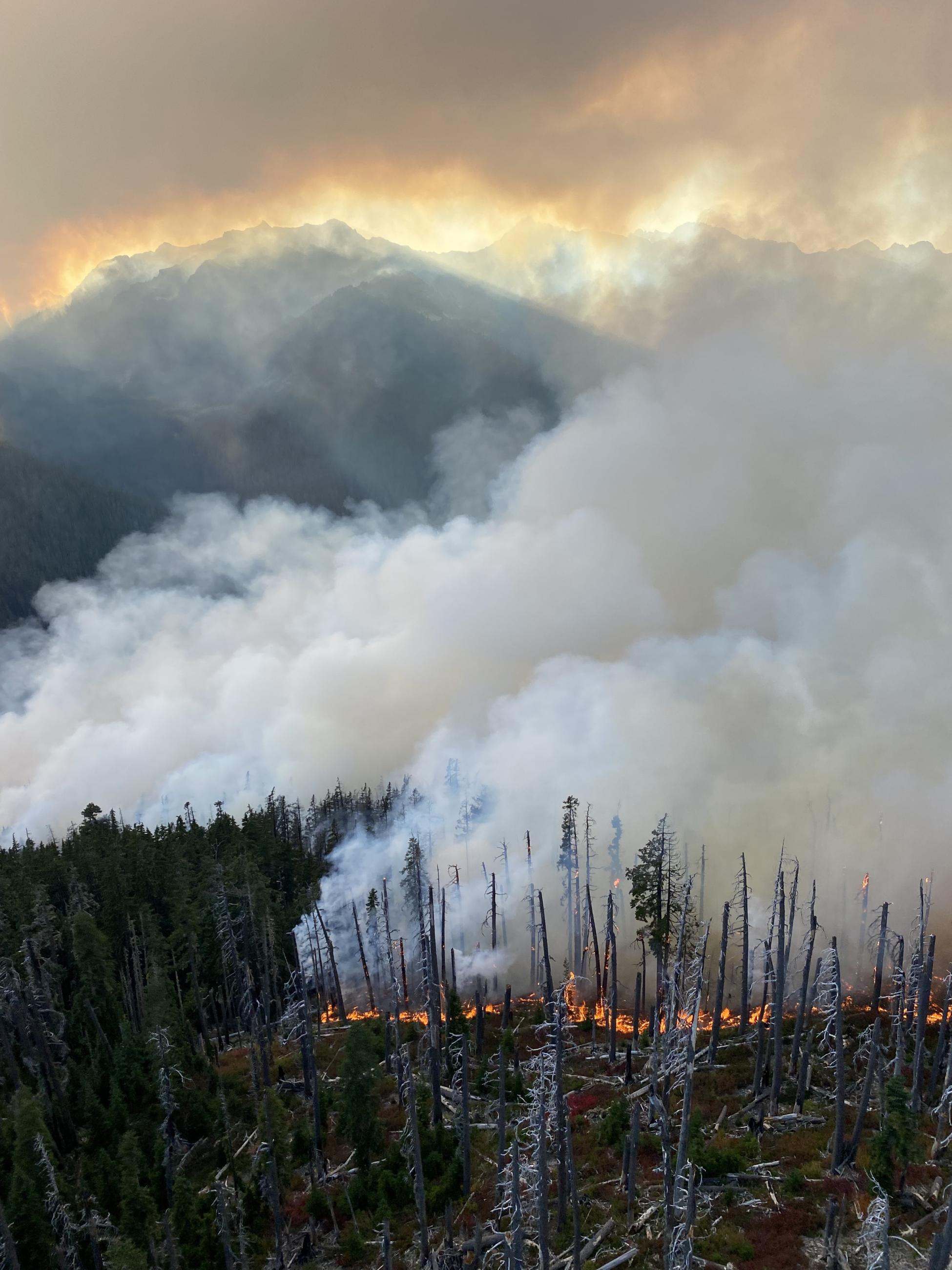 Damage from the Delabarre Fire, seen from above, Sept. 16, 2023. / Courtesy of InciWeb