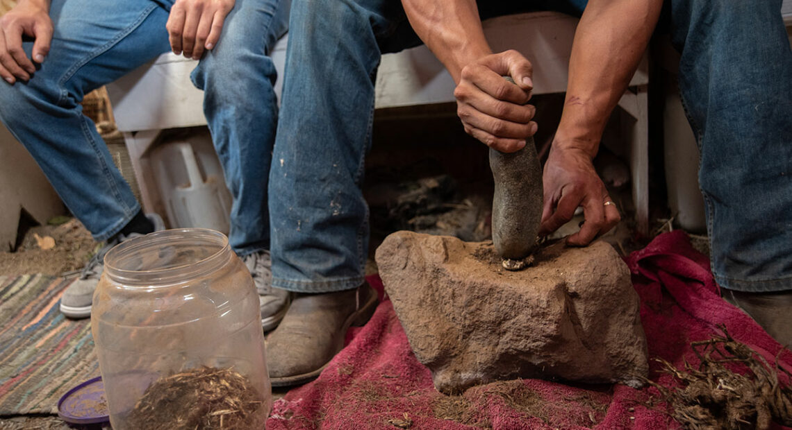 Jeremy Wolf pounds dried x̣áwš x̣áwš (pronounced ca-ow-sh ca-ow-sh), or medicinal root, into small fibers which will fill a medicine bag and be used during a ritual sweat.