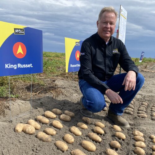 Ken Luke, a manager with McCain Foods, shows off some of the old standby potato varieties, along with some of the new, like the fresh “King Russet,” at a recent field day in Quincy.