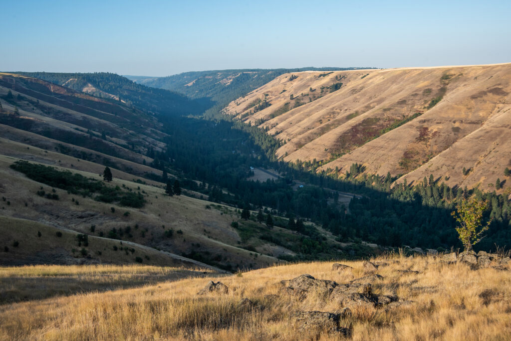 A photo shows a valley partially in shadow as the sun rises in the east, out of frame. The valley is made up of yellow, plains near the top, and dark green pine trees near the bottom. A river can be seen winding between the valley walls below a sky of clear blue.