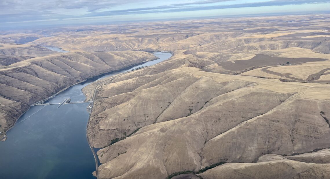 Blue-green algae seen behind Lower Granite dam on the Snake River. (Credit: Courtney Flatt / Northwest News Network)